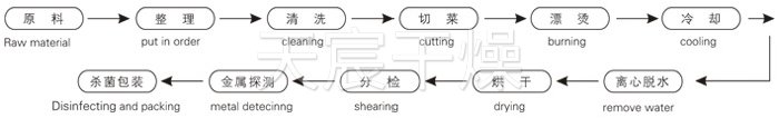 脫水蔬菜（cài）帶（dài）式幹燥工藝流程